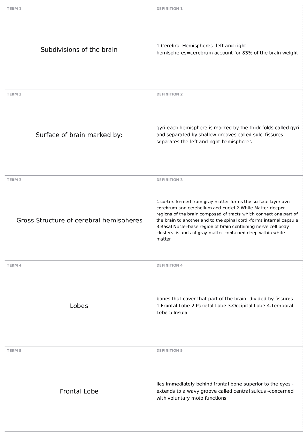 Brain Flash Cards KINS 2531 Hum Anatomy & Physiology I Docsity