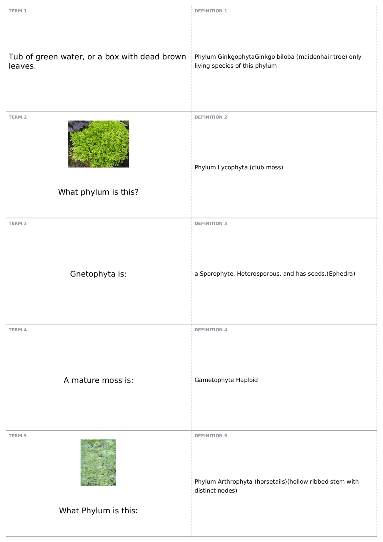 Lab practical | BIOL 1031 - ORGANISMAL BIOLOGY LABORATORY - Docsity
