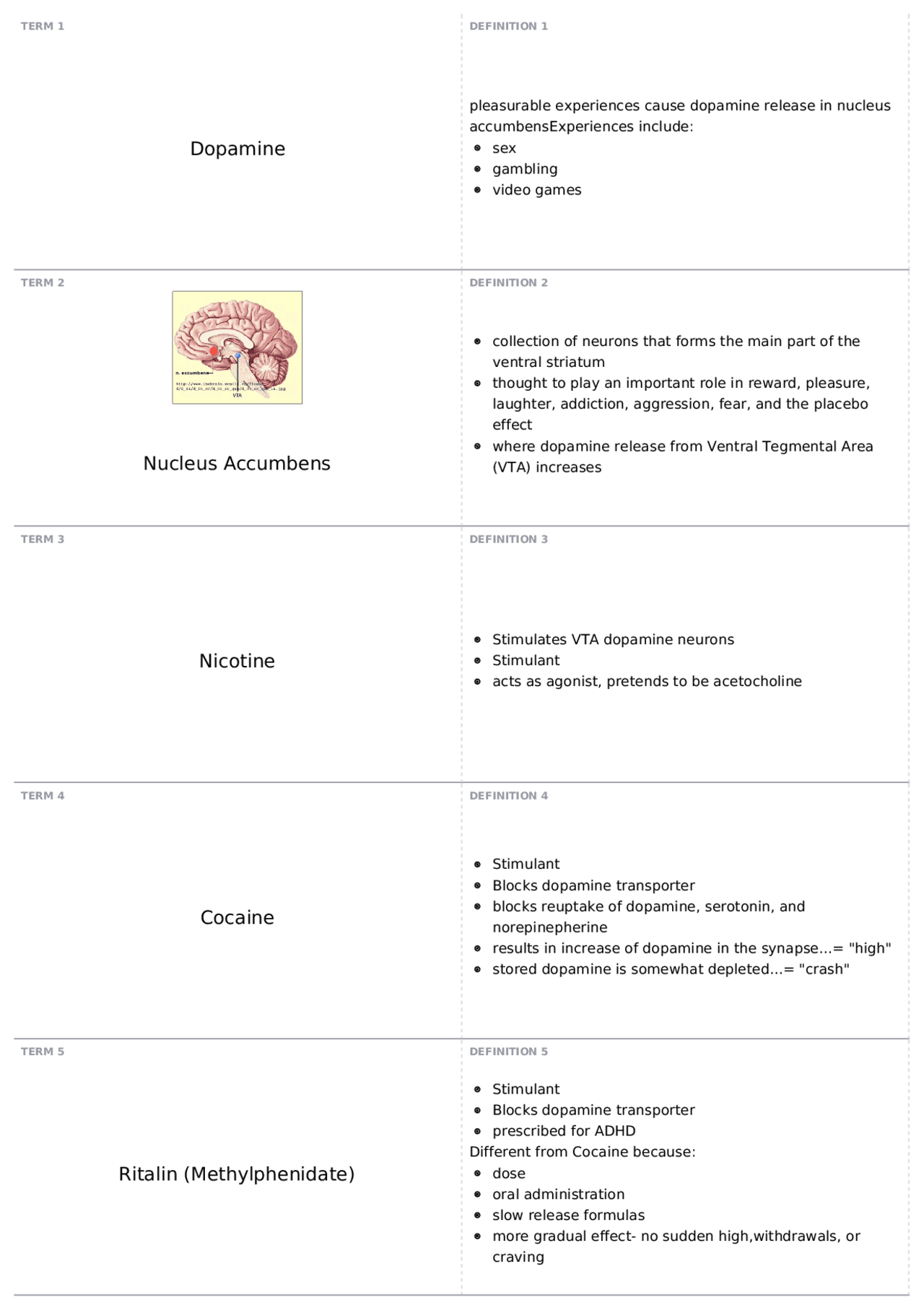 Brain and Behavior- Test 2 | PSB 2000 - INTRO BRAIN & BEHAVR - Docsity
