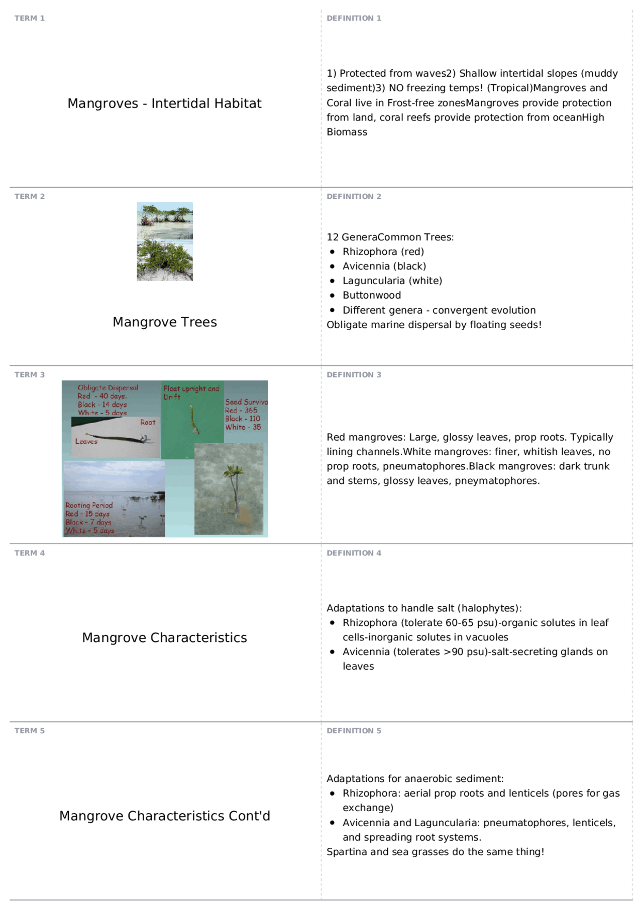 Mangroves MARS 3450 Marine Biology Quizzes Marine Science and
