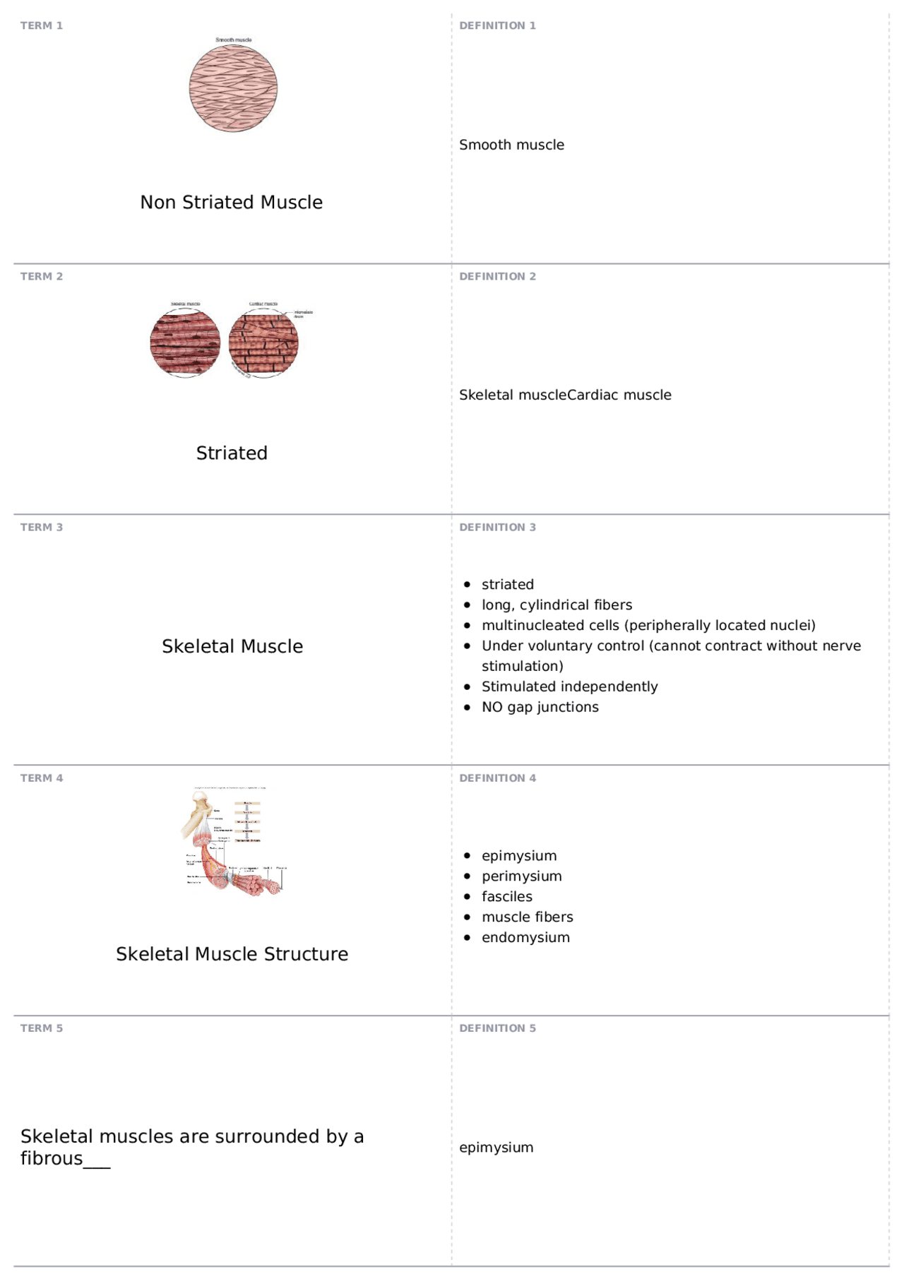 Lab Chapter 3 Review | PCB 3703C - Human Physiology | Quizzes Human