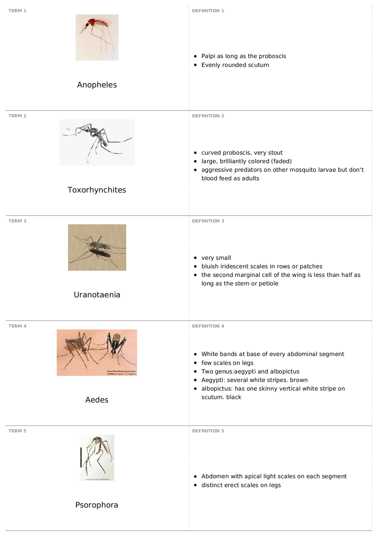 Part 2 ENTO 3650 Medical Entomology Docsity