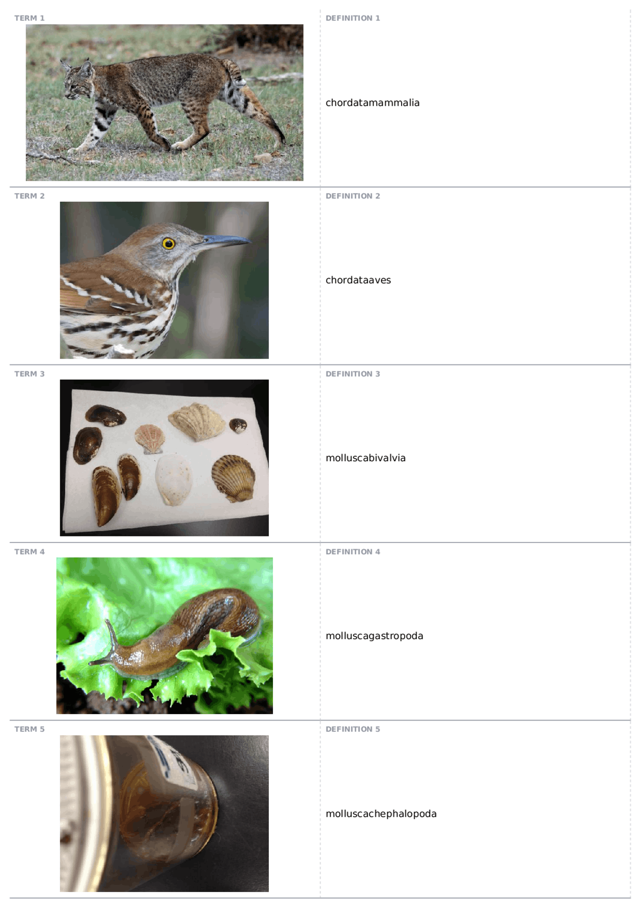 Lab practical 2 pictures BIOL 1108K Principles of Biology II Docsity