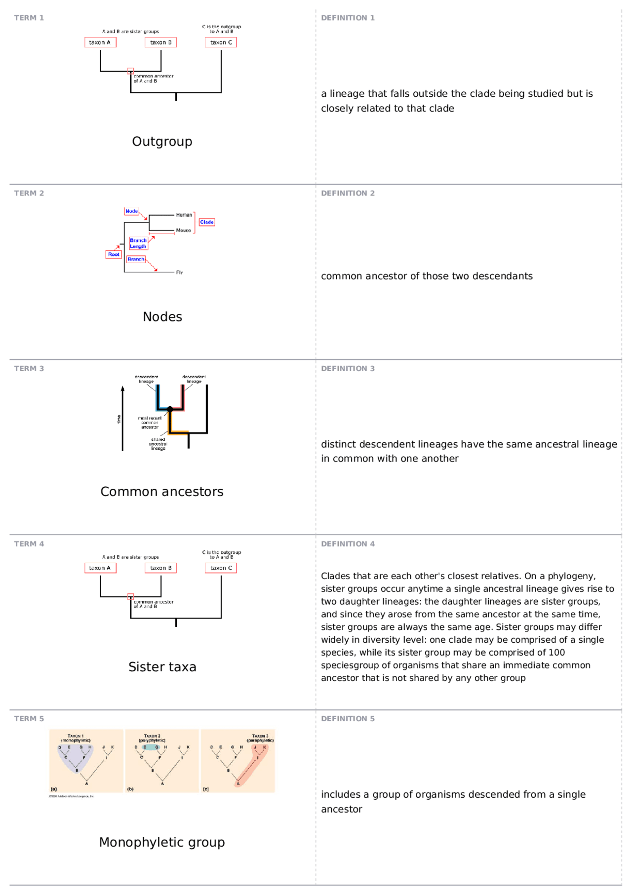 Exam 2 | BIO 311D - INTRODUCTORY BIOLOGY II | Quizzes Biology | Docsity