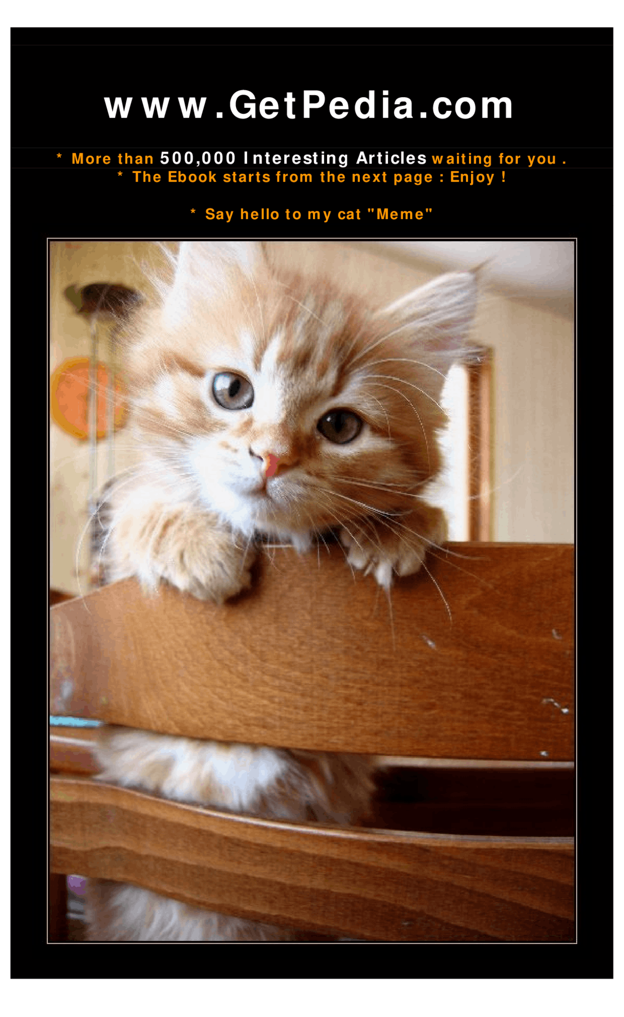 GAY PŘÁTELSKÉ LÍBÁNKOVÉ DESTINACE V USA