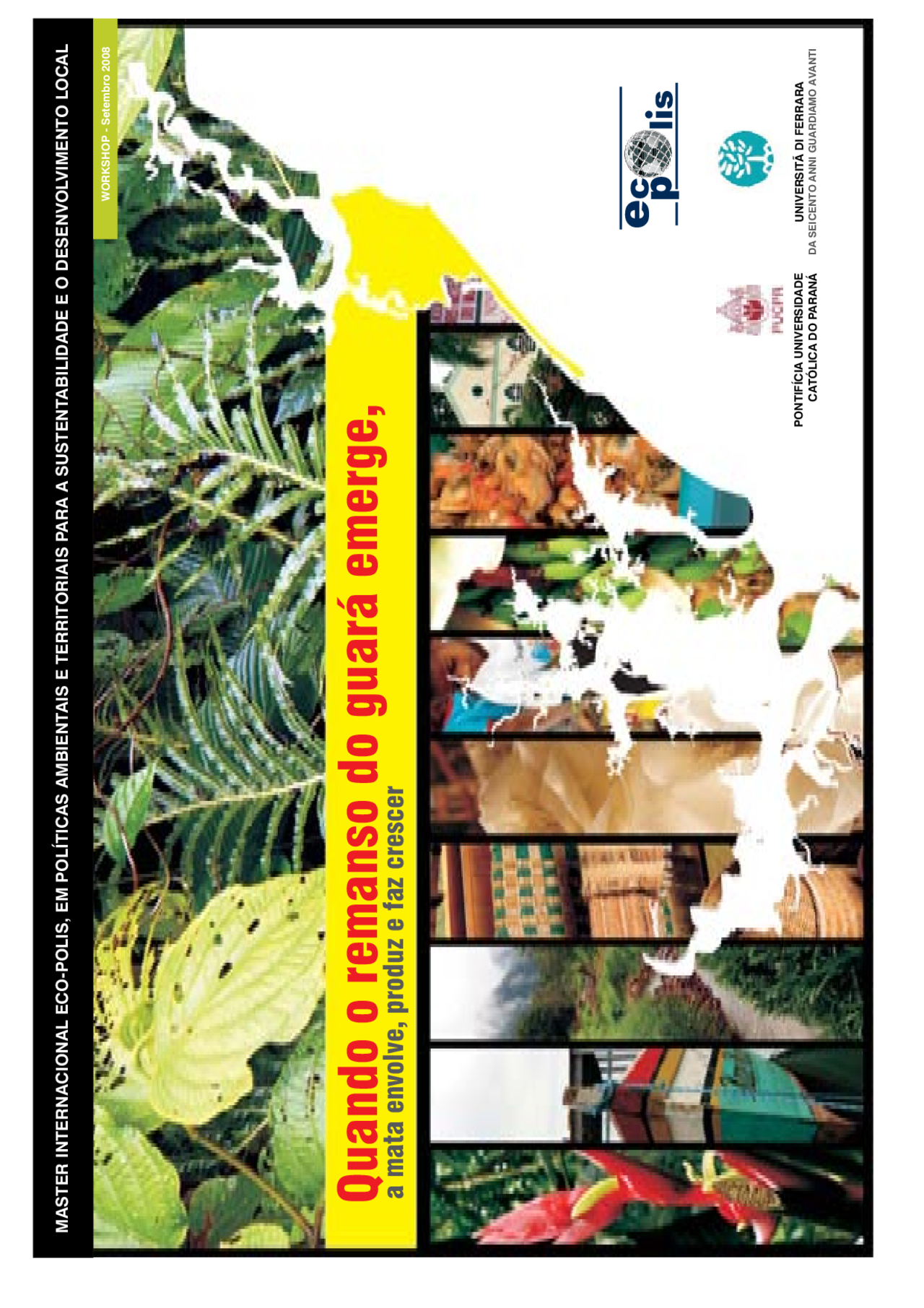 Quando O Remanso Do Guara Emerge A Mata Envolve Produz E Faz Crescer Estrategias Docsity