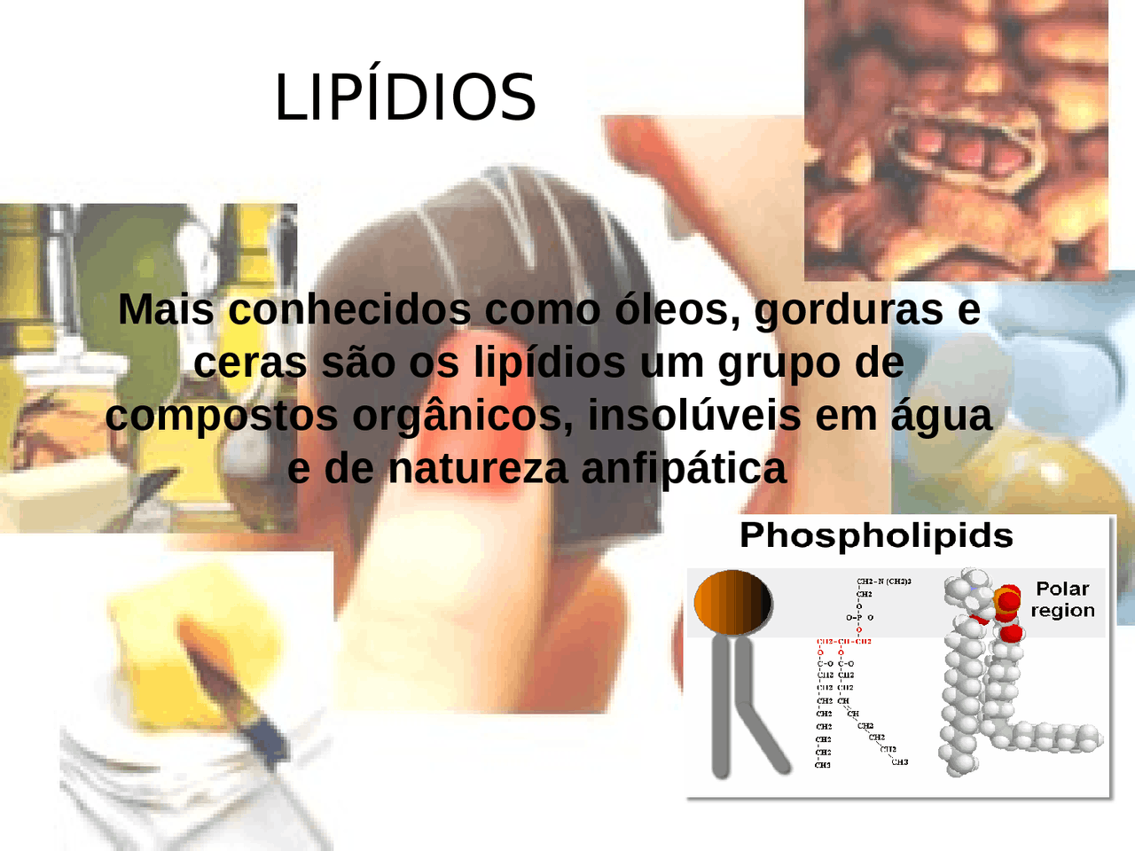 Gorduras E Óleos São Exemplos De Lipídios