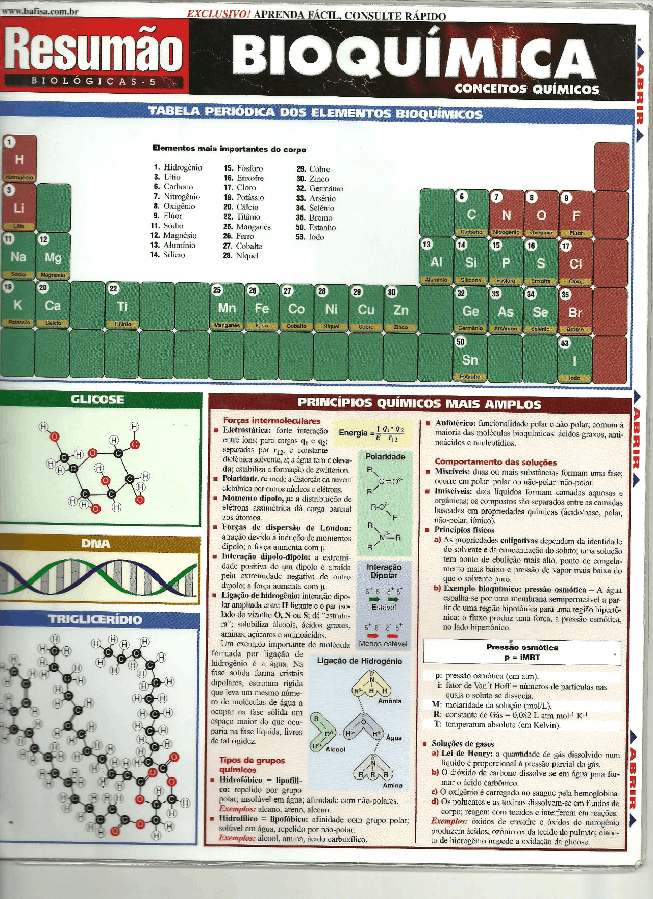 Resumão de Bioquímica - Conceitos de Bioquímica - Docsity