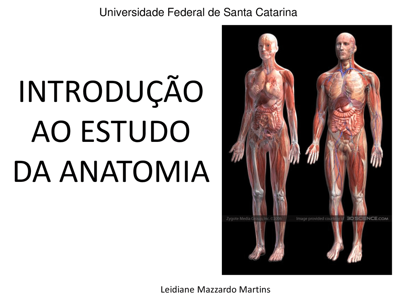 O Que Anatomia Estuda - FDPLEARN