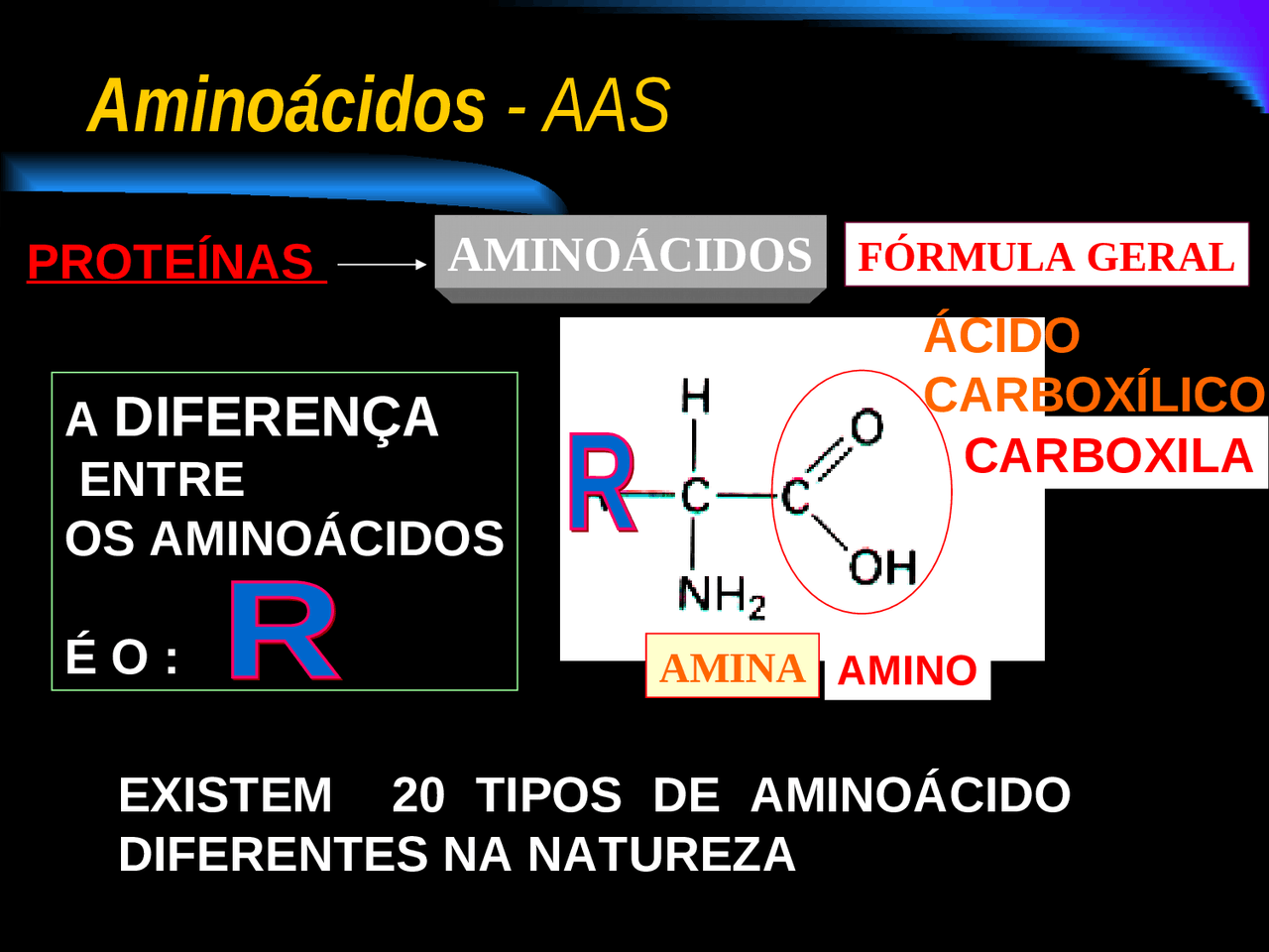 Os Aminoácidos São Precursores De Quais Compostos - FDPLEARN