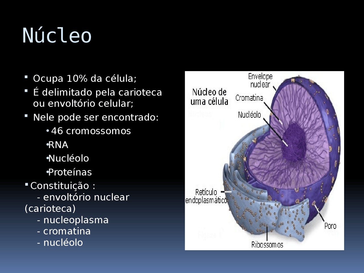 Núcleo Celular - Slides sobre a estrutura e função do núcleo celular ...