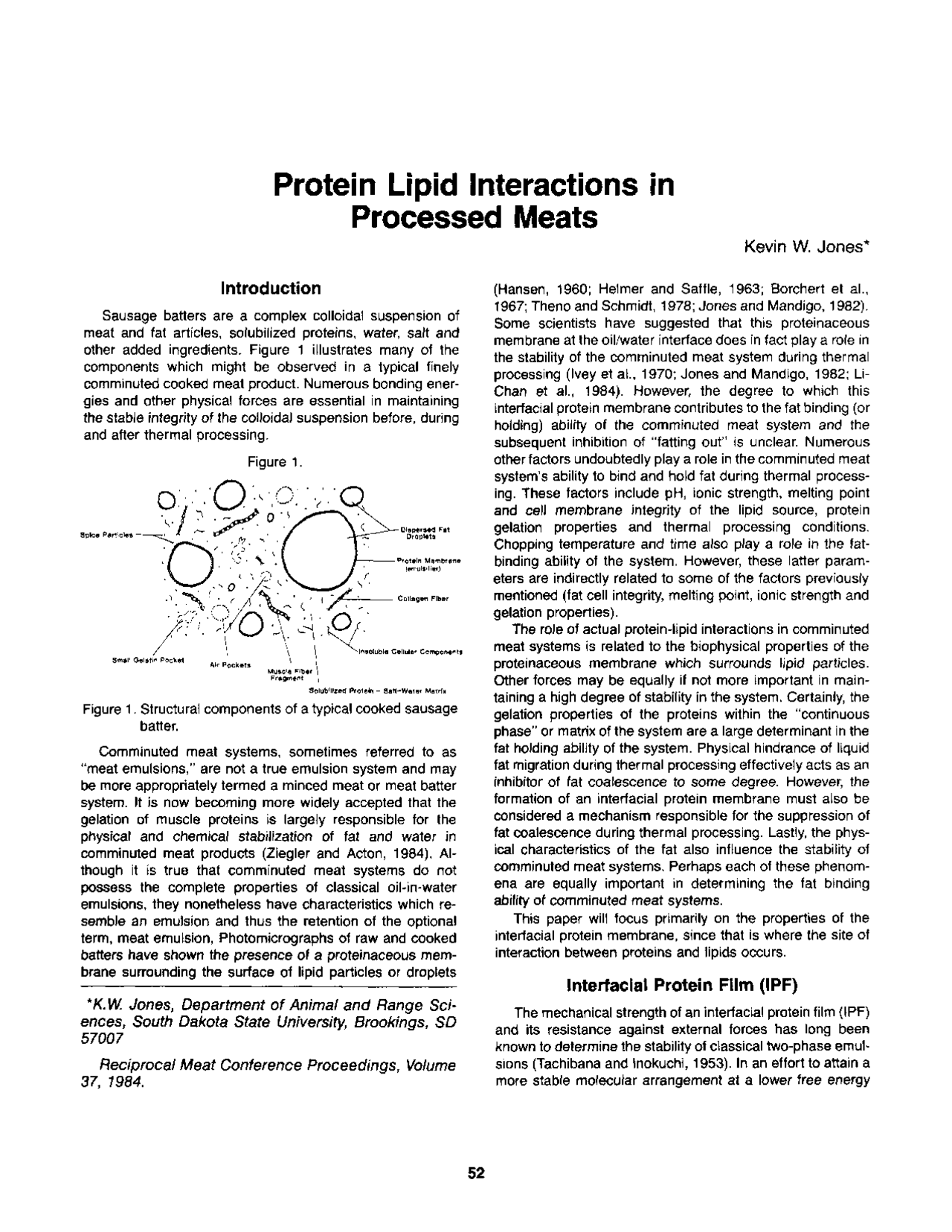 Protein Lipid Interactions in Processed Meats - Fundamentos científicos ...