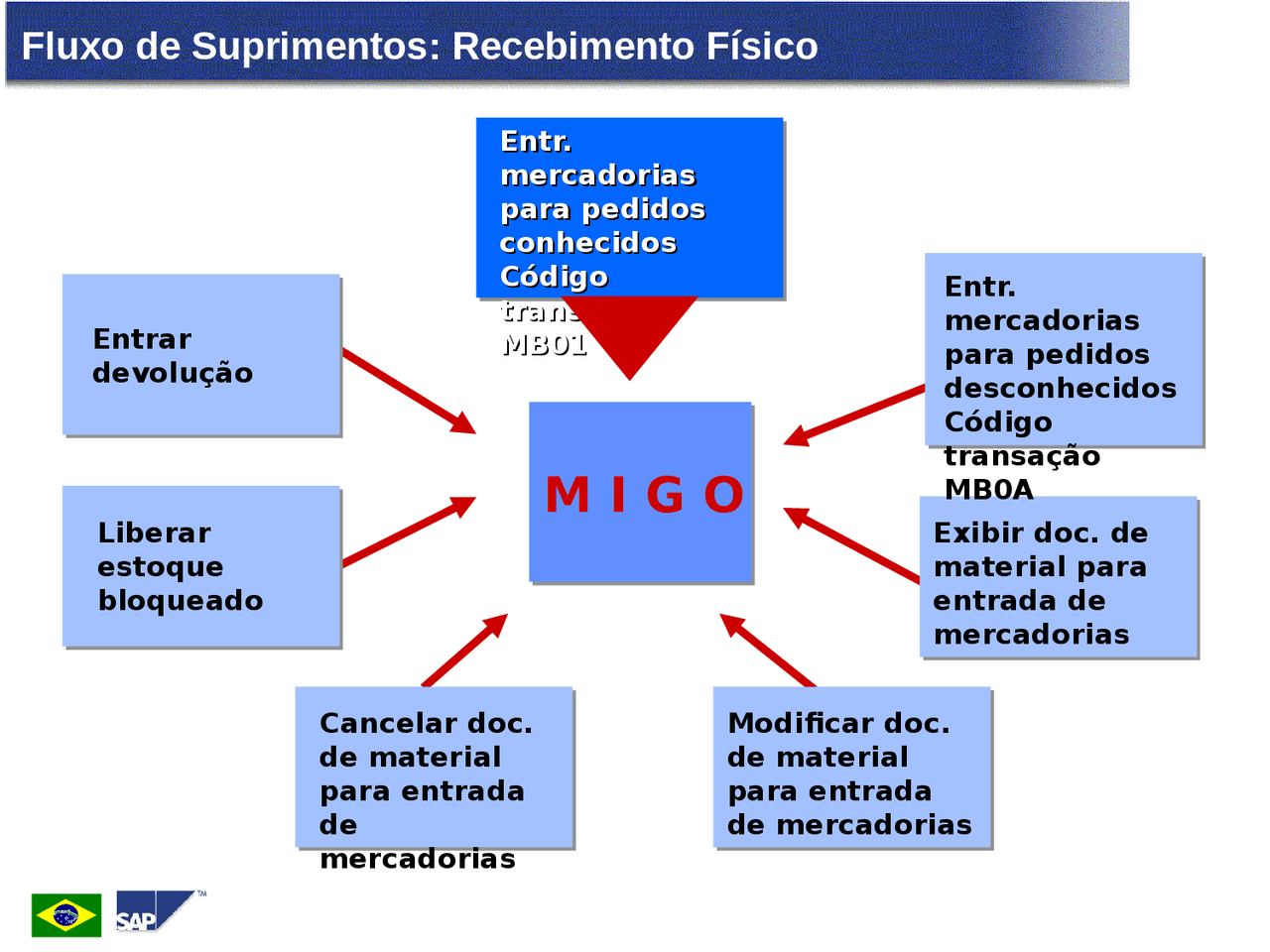 Migo Processen Transação MIGO - Transação MIGO | Docsity