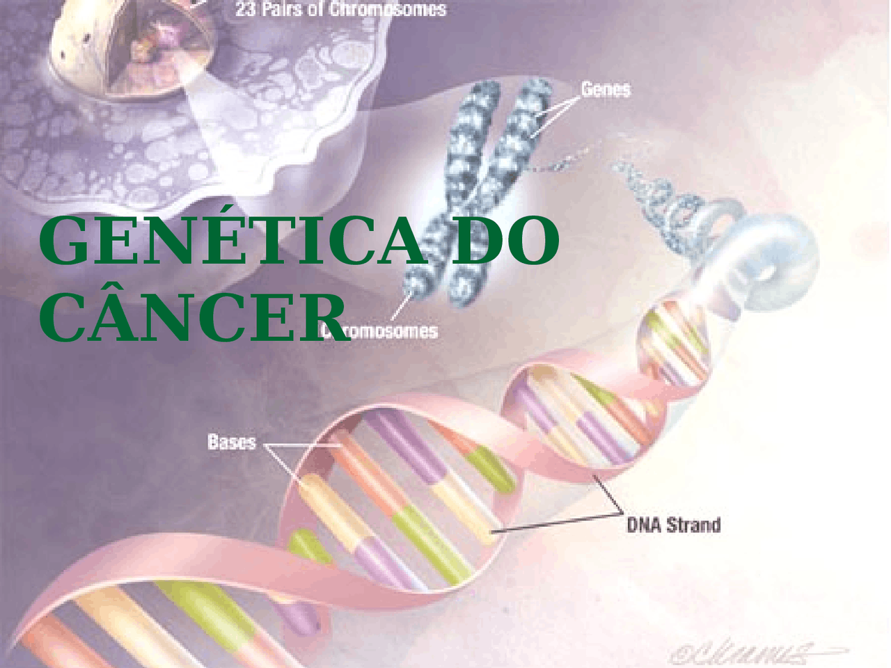 cancerul si genetica