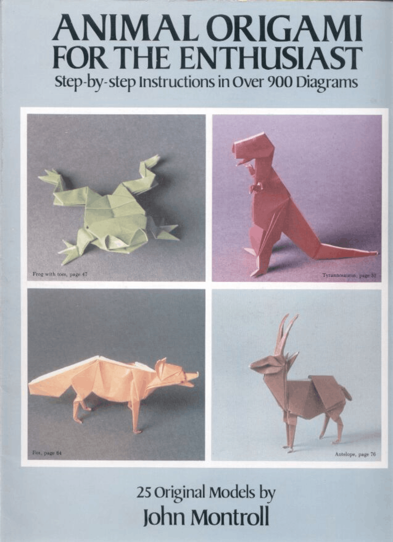Origami For The Enthusiast