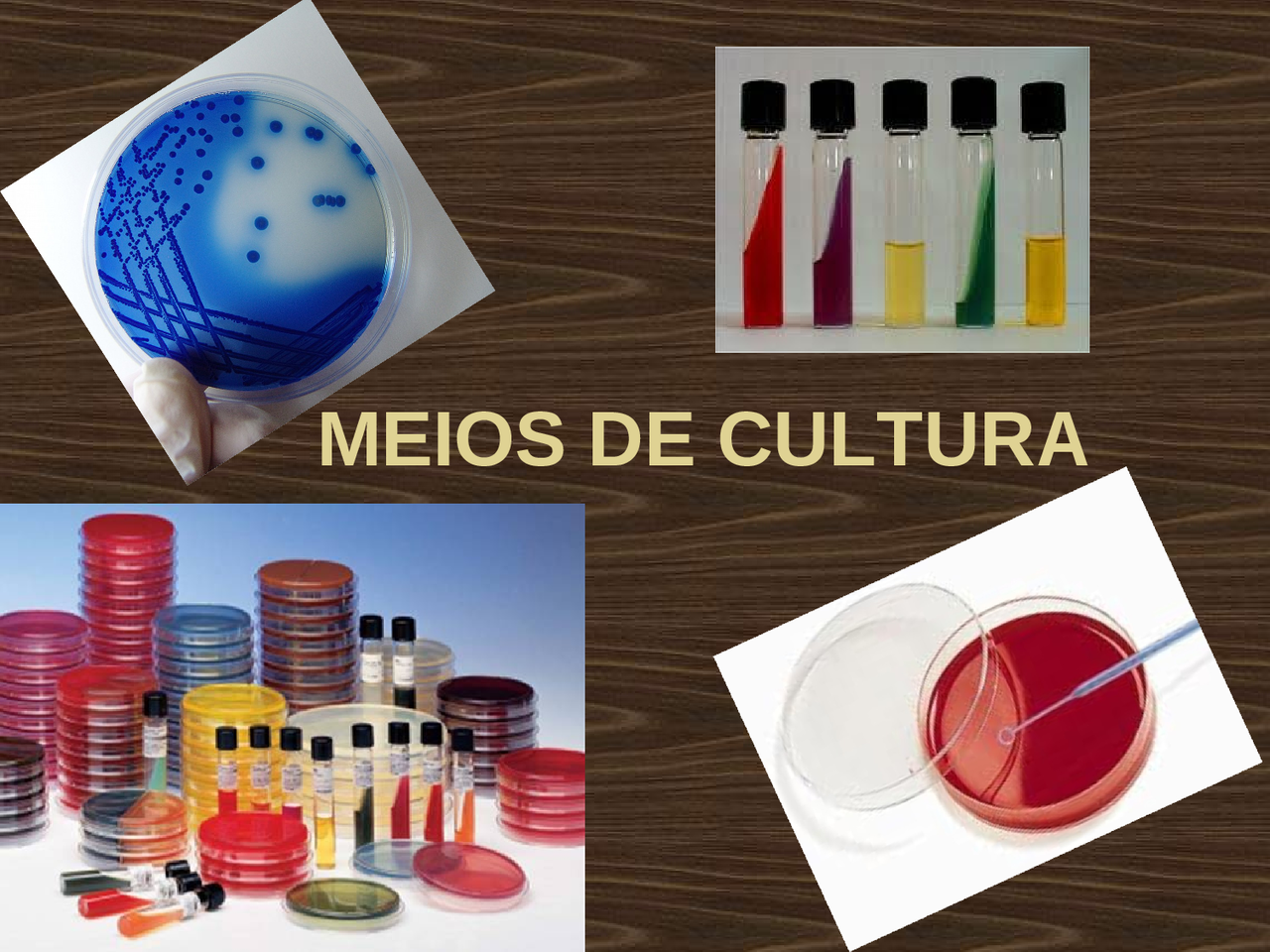 Tipos De Meio De Cultura - FDPLEARN