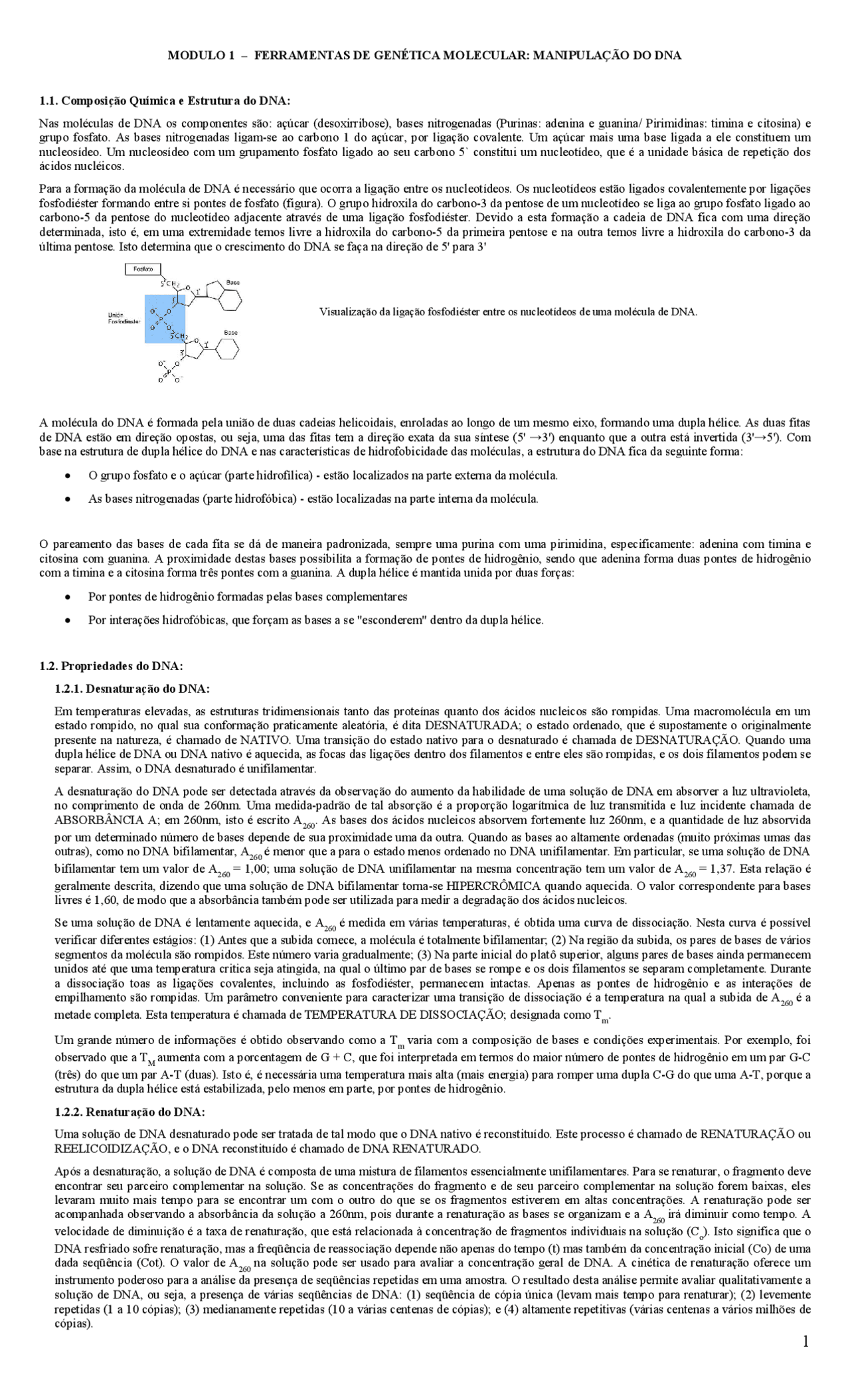 resumo genetica resumo genetica docsity