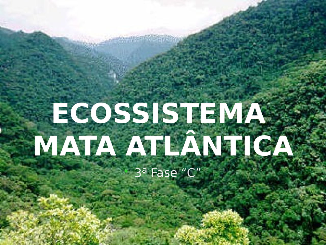 ECOSSISTEMAS DE PERNAMBUCO mata - ecossistema mata atlantica - Docsity
