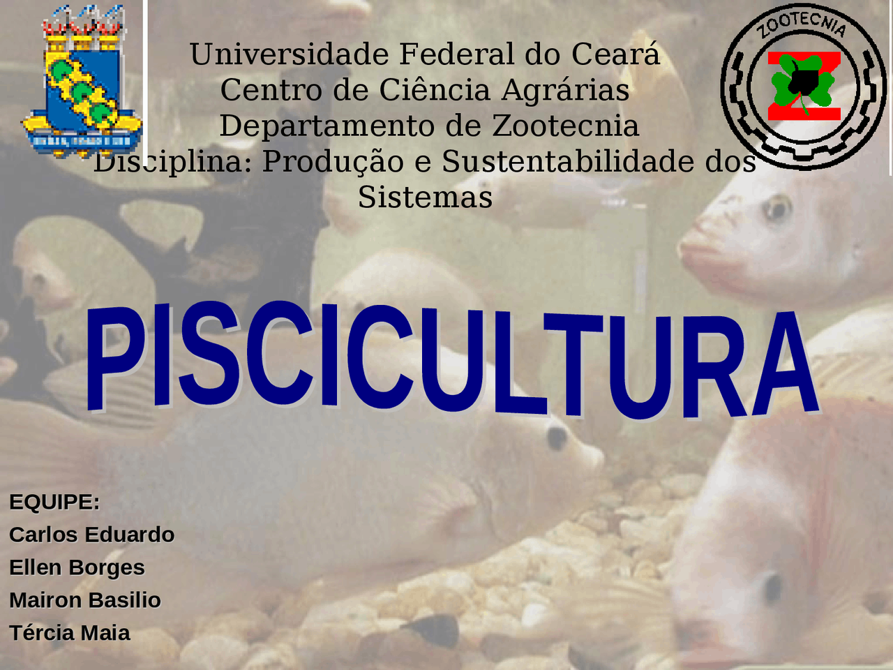 Como Exemplo De Produção Vegetal Temos Piscicultura Pecuária E Hortícula