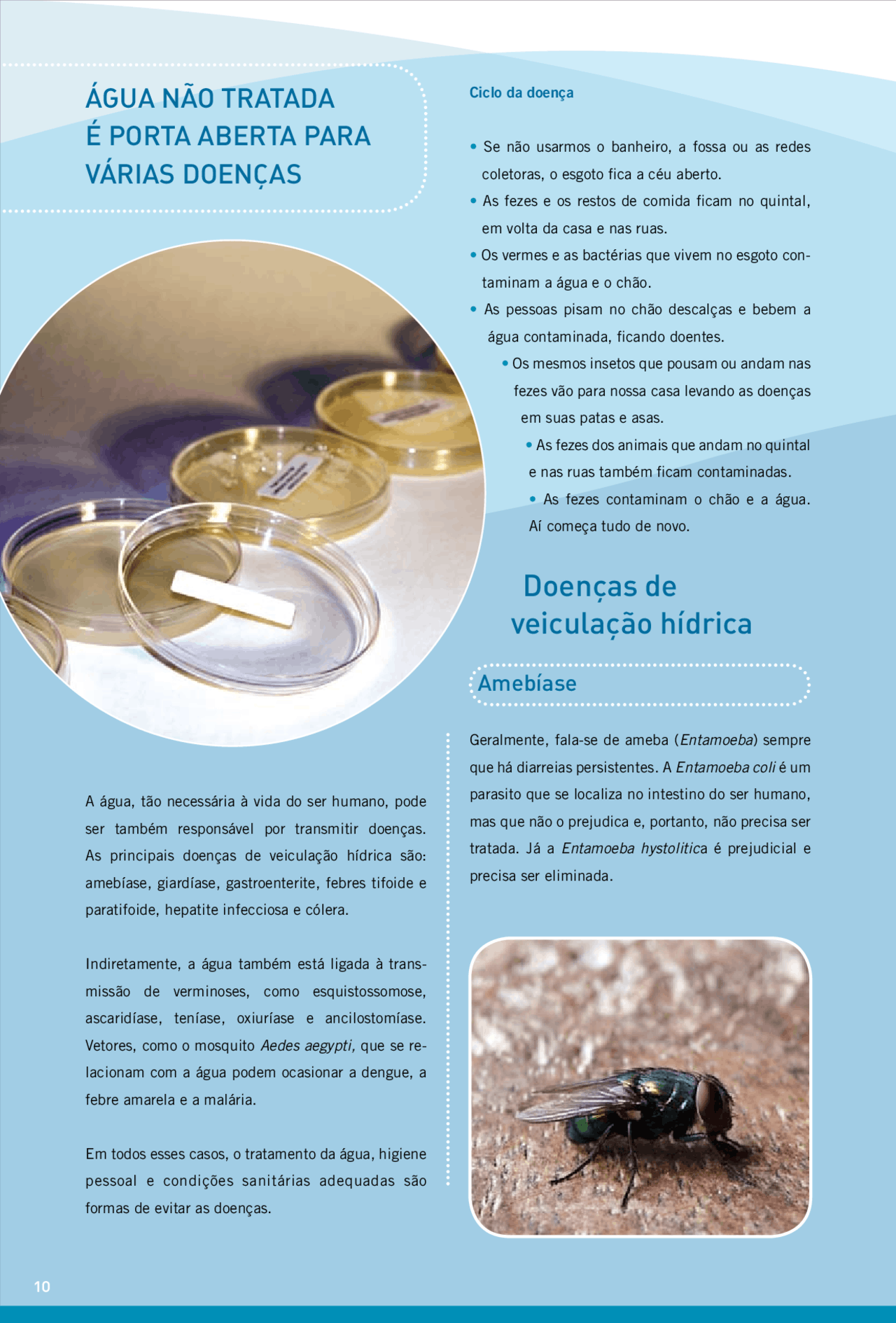 Doençias de veiculação hidrica - Doenças transmitidas pelas águas - Docsity