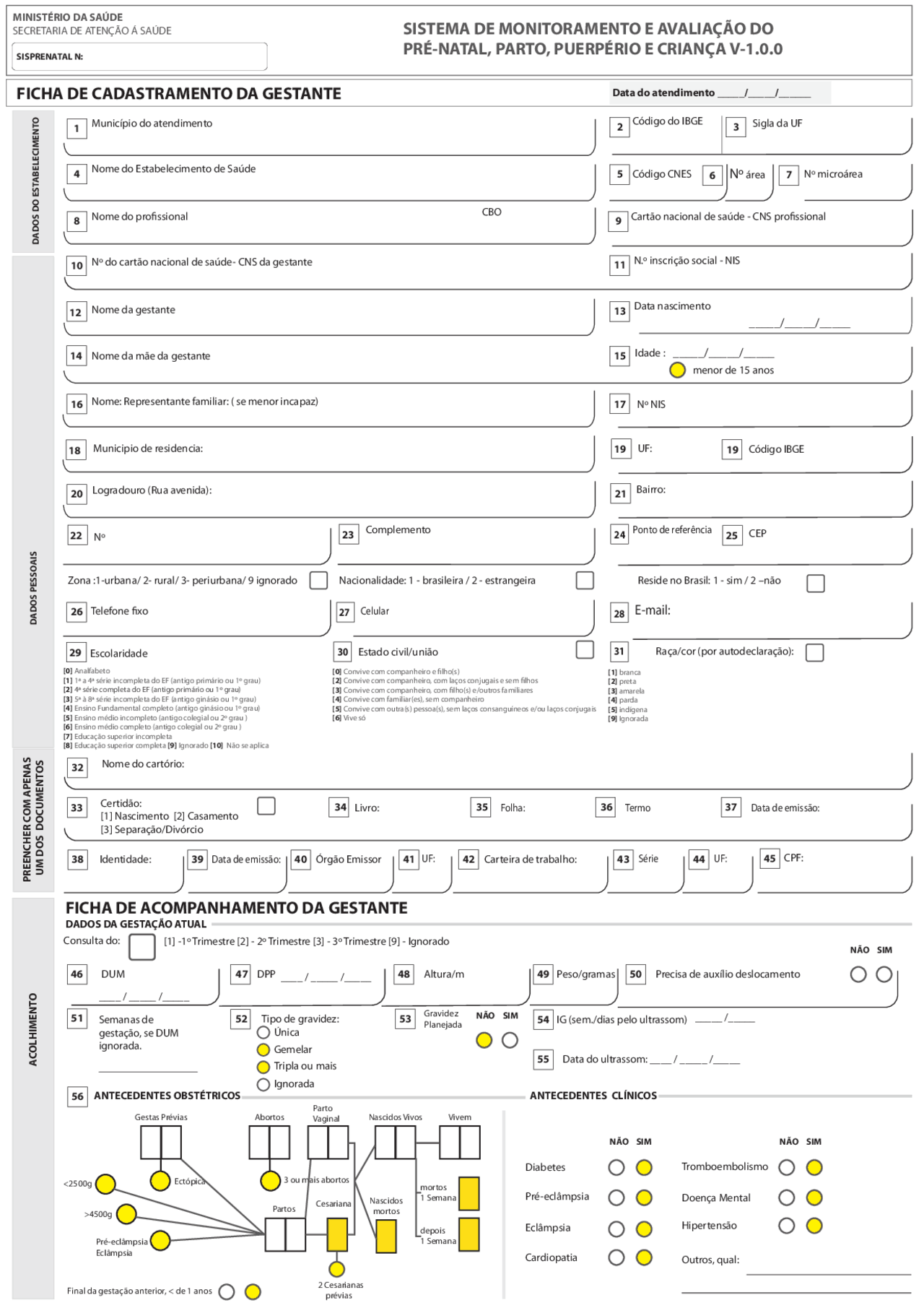 Ficha Cadastramento Gestante - sis pre natal - Docsity
