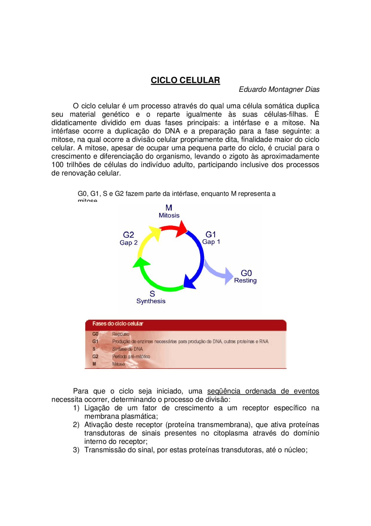 Ciclo Celular - ciclinas e quinases | Docsity