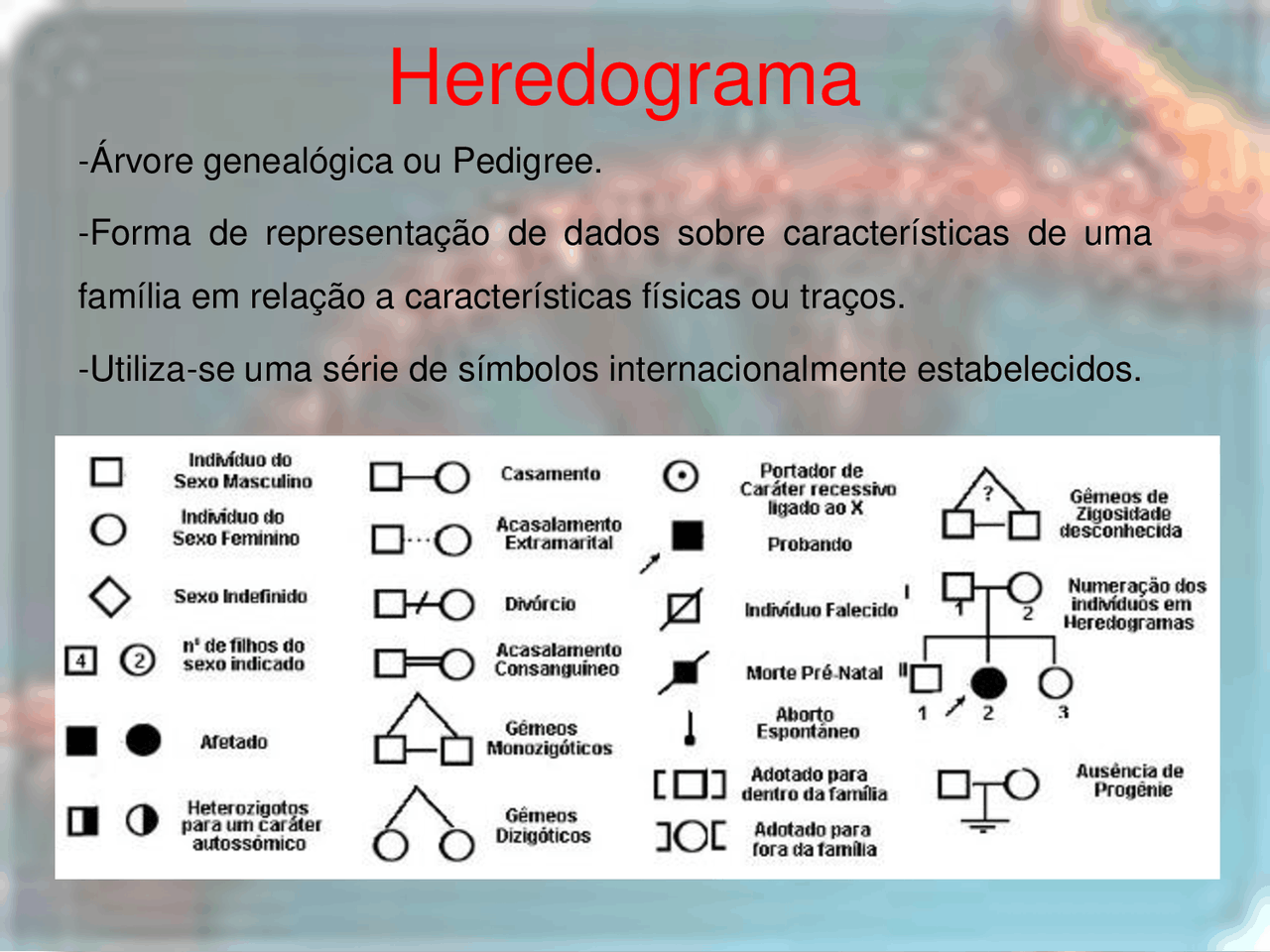Que Nome Recebe A Representação Gráfica Usada Em Genética