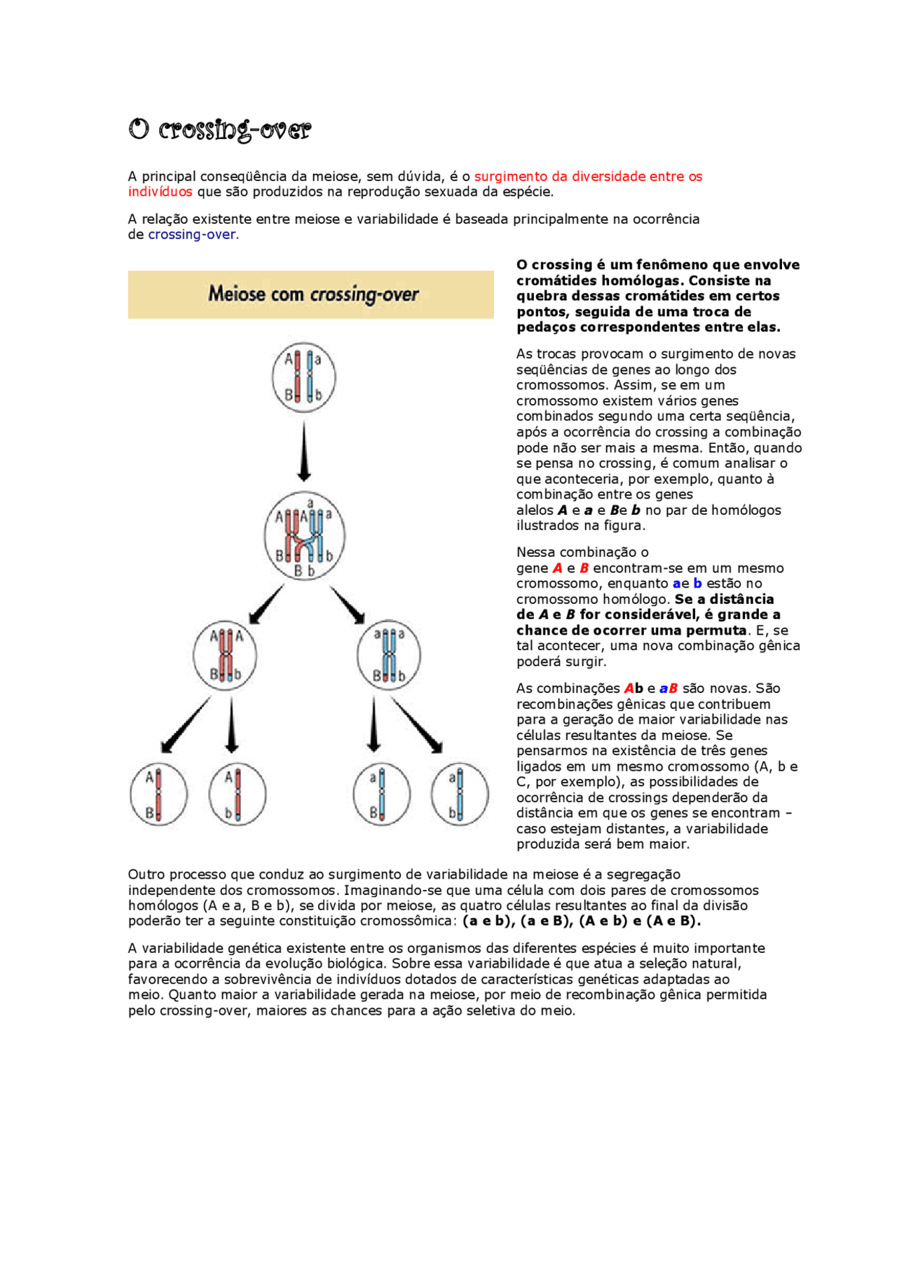 O crossing over - Crossing Over - Docsity