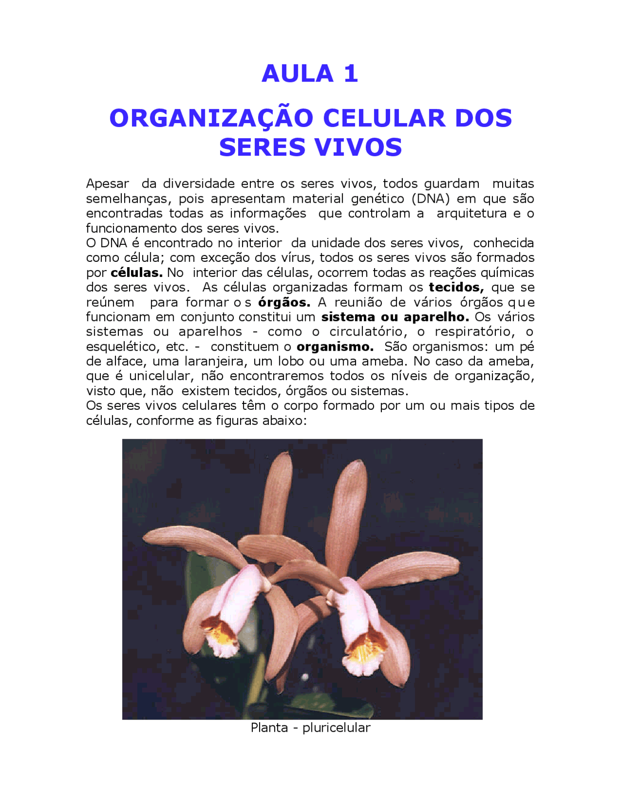 Resposta Apostila De Biologia 1 Ano Volume 1