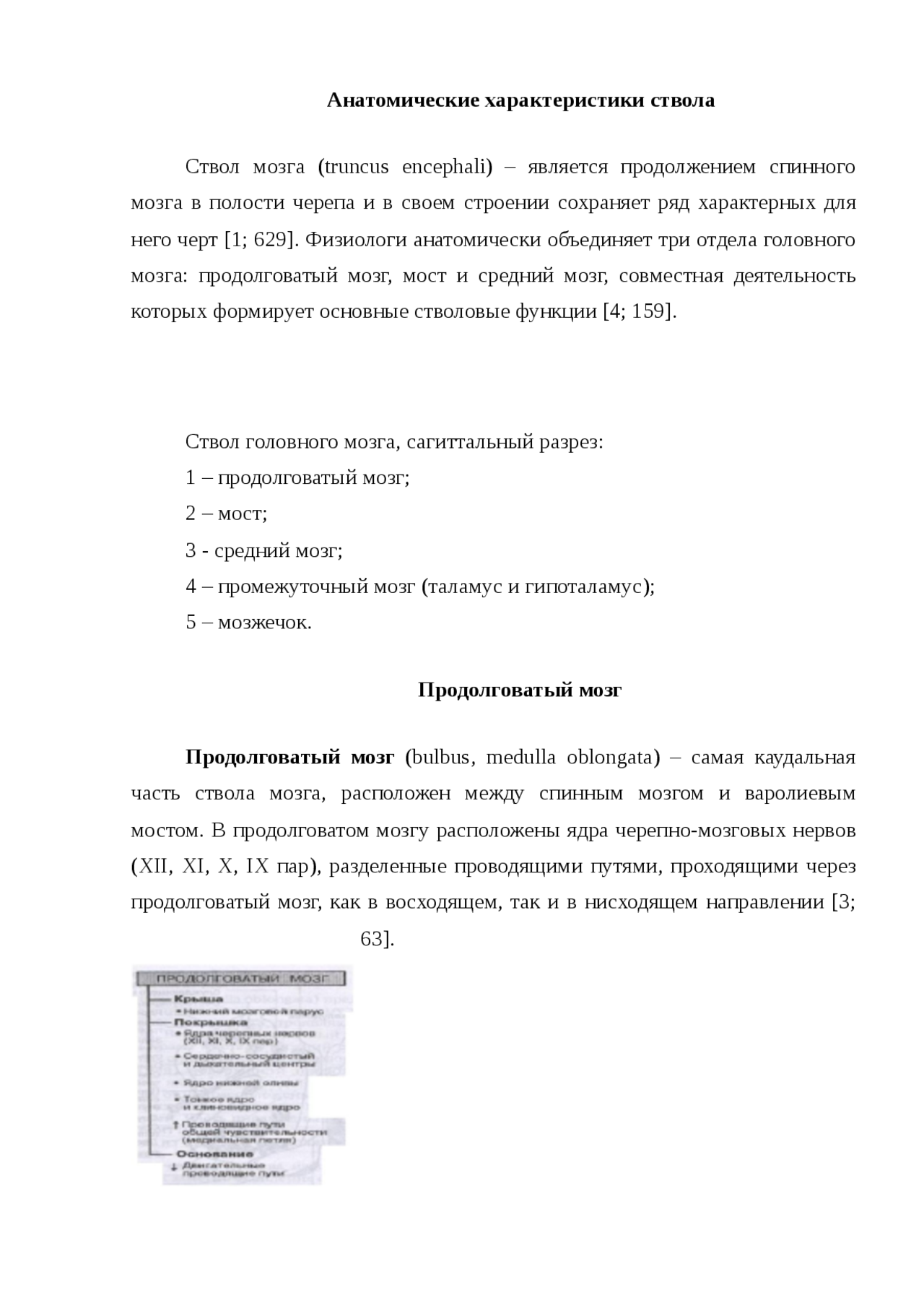Реферат: Основные ядра моста Реферат: Основные ядра моста
