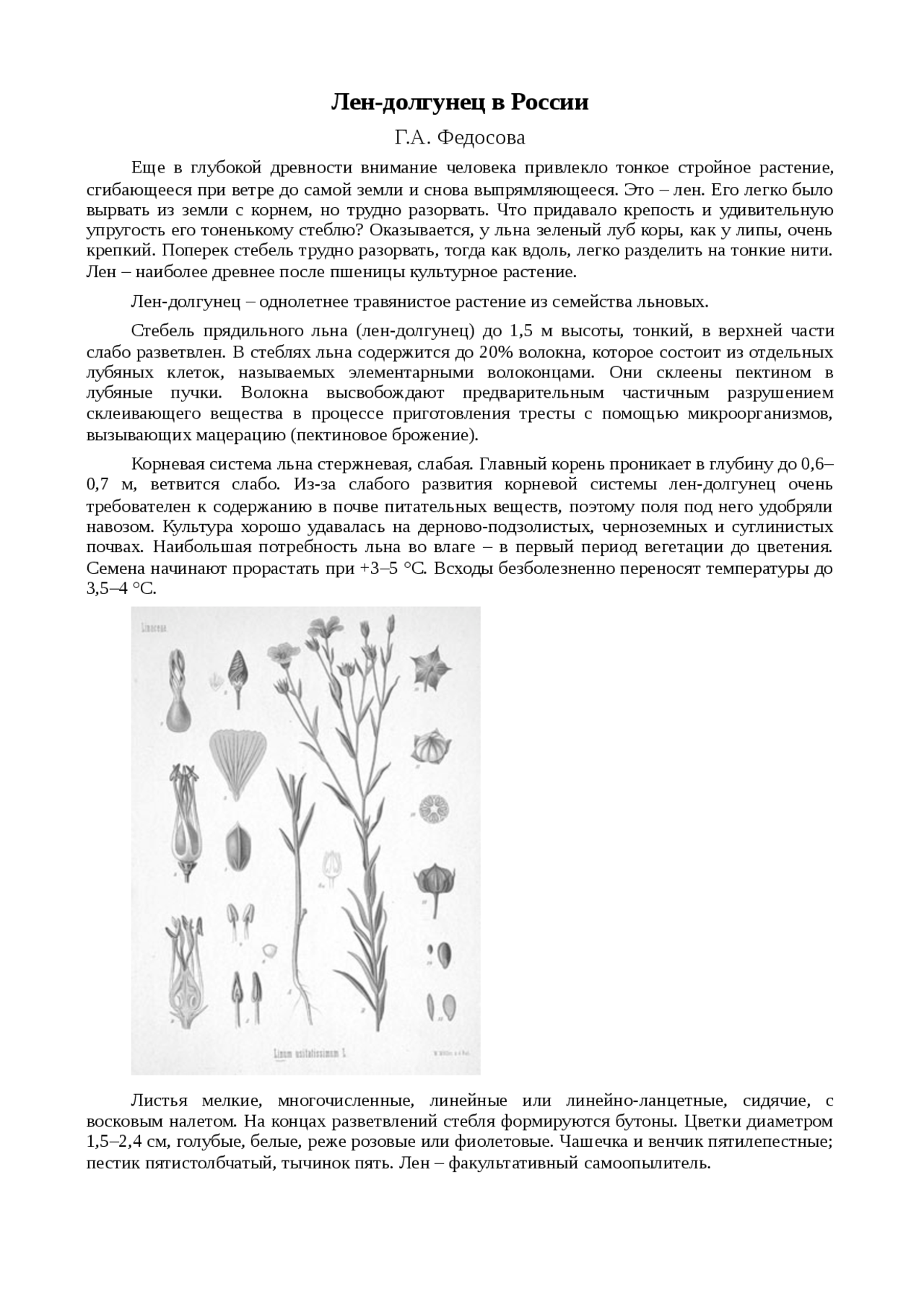Лён-долгунец растет. Лён-долгунец растет. Лен долгунец выращивают на. Технология возделывания льна-долгунца. Лен долгунец почвы.
