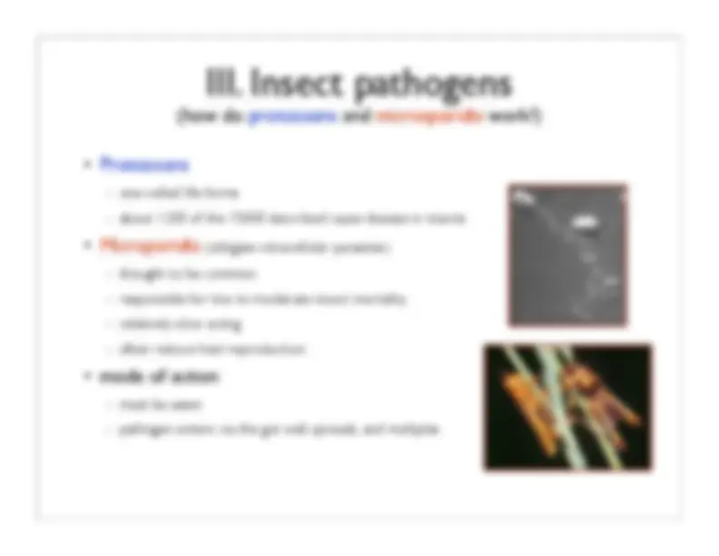 Insect Hemolymph and Immunity: Circulation, Blood Components, and ...