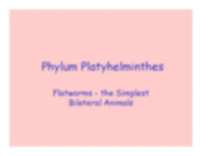 pf15