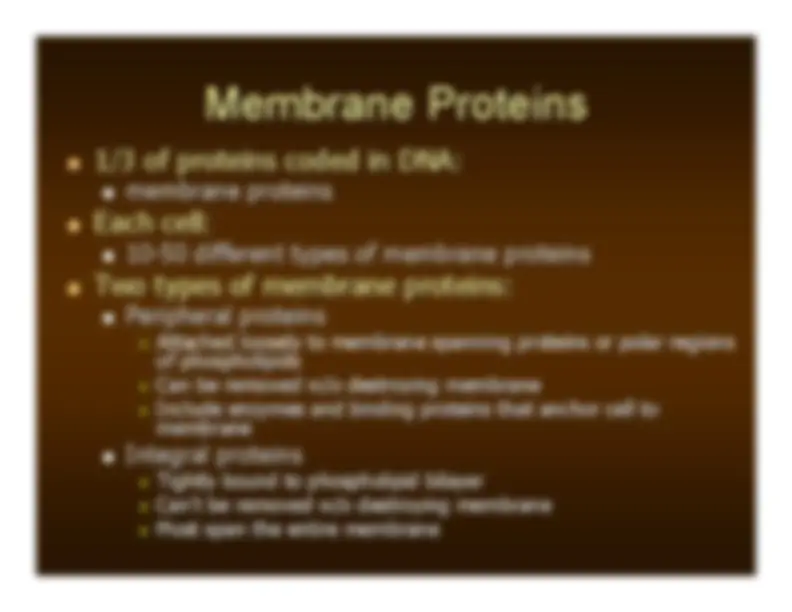 Membrane Dynamics - Lecture Notes | BME 377 | Study notes Biology | Docsity