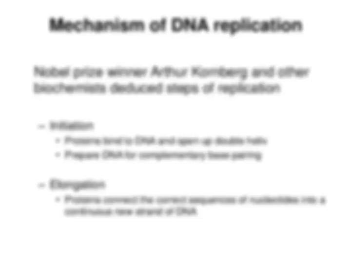 DNA Replication and Cell Cycle Control in Molecular Biology l | MBioS ...