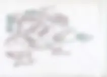 pf4