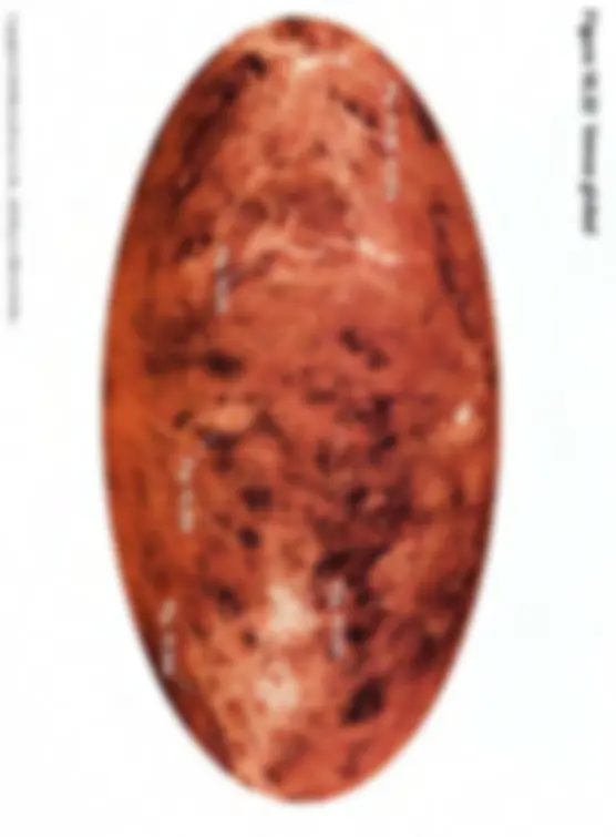 pf17