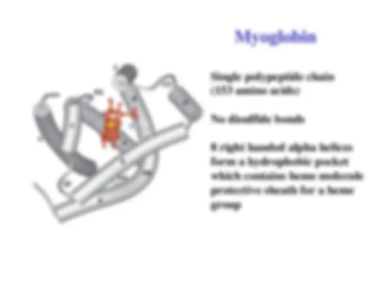 Myoglobin and Hemoglobin - Molecular Biology and