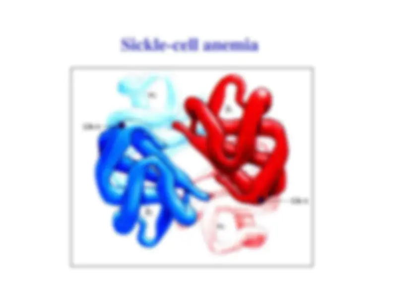 Myoglobin and Hemoglobin - Molecular Biology and