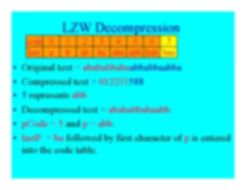 pf19