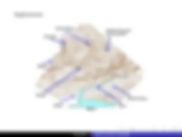 pf2d