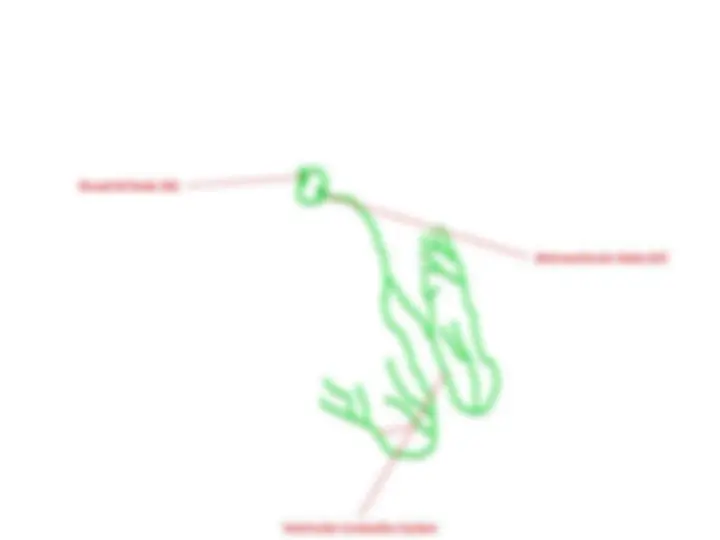 pf3
