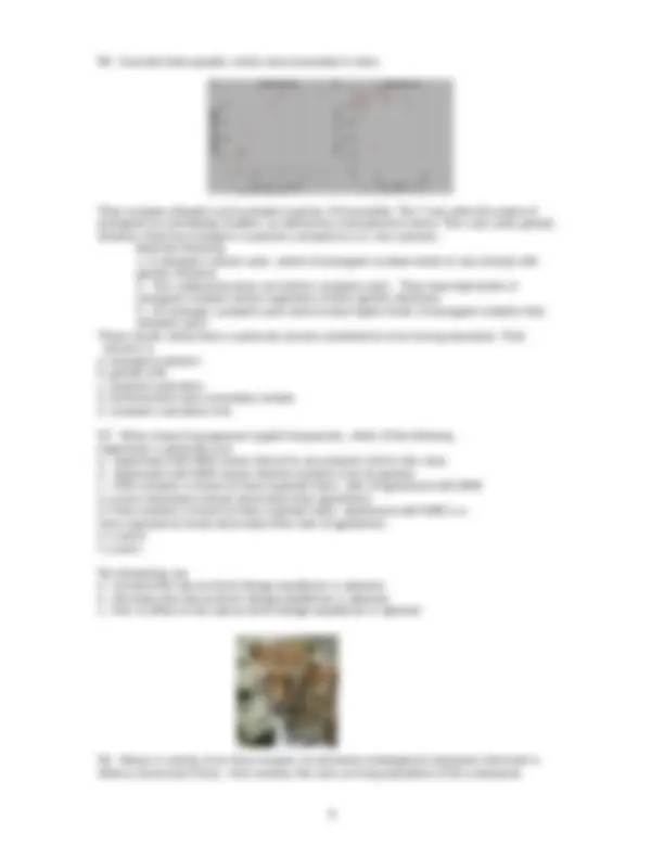 80 Questions on the Evolutionary Biology - Final Exam | BIOL 2704 ...