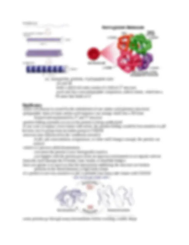 Exam One Notes - Principles of Biology I | BIOL 1107 | Study notes ...