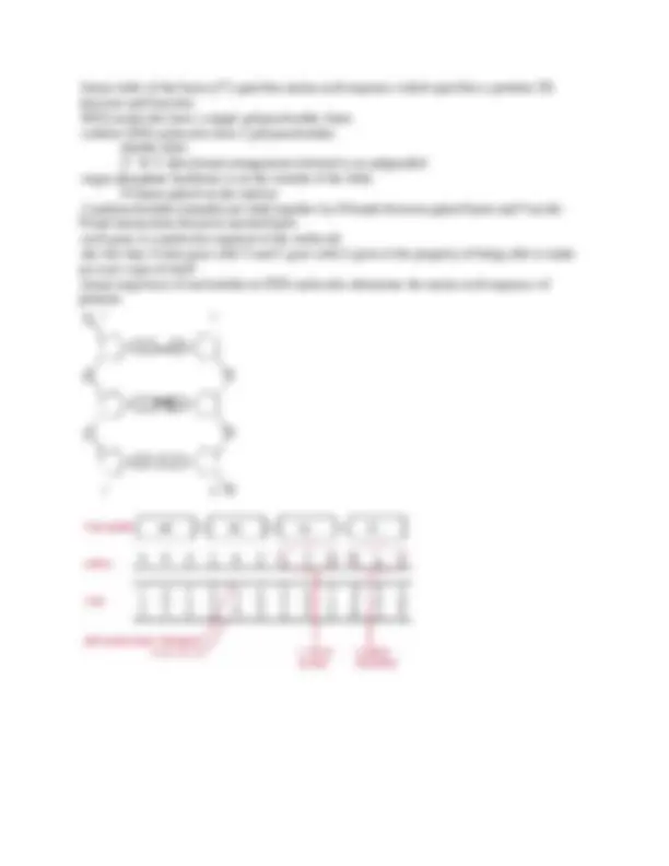 Exam One Notes - Principles of Biology I | BIOL 1107 | Study notes ...