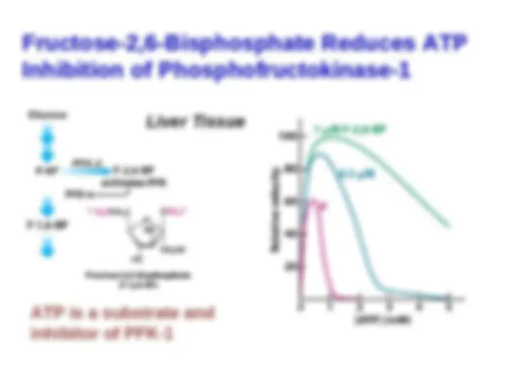 pf2f