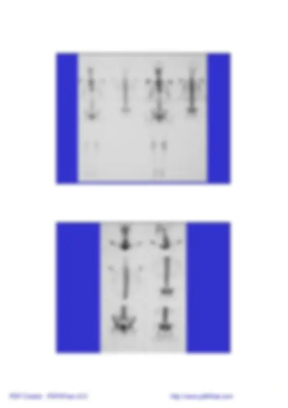 pf4
