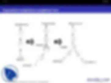 pfe
