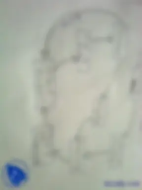 pf1d