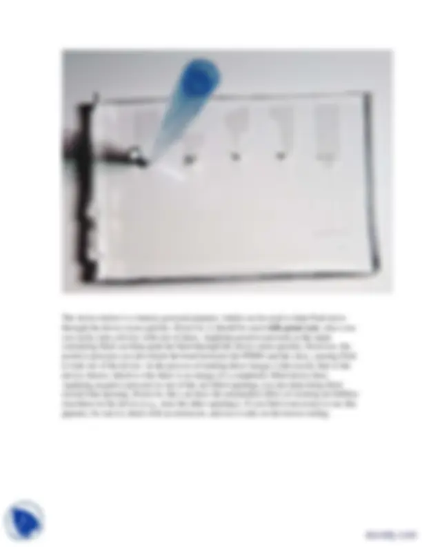 pf4